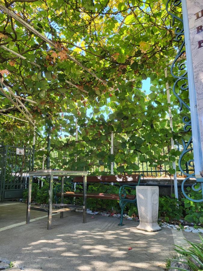 Guest House Sebelj Budva Ngoại thất bức ảnh